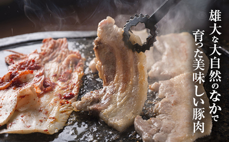 『定期便』森町ポーク焼肉セット（900g）全2回 ＜道産ネットミツハシ＞ 森町 豚肉 ロース バラ 焼肉 セット ふるさと納税 北海道 mr1-0024