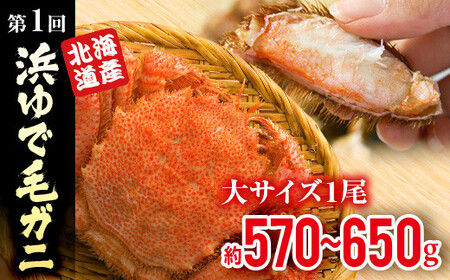 『定期便』浜ゆで毛ガニ×1尾・森町ポーク焼肉セット（900g）全2回 ＜道産ネットミツハシ＞ 森町 豚肉 ロース バラ 焼肉 毛ガニ 毛蟹 セット ふるさと納税 北海道 mr1-0354