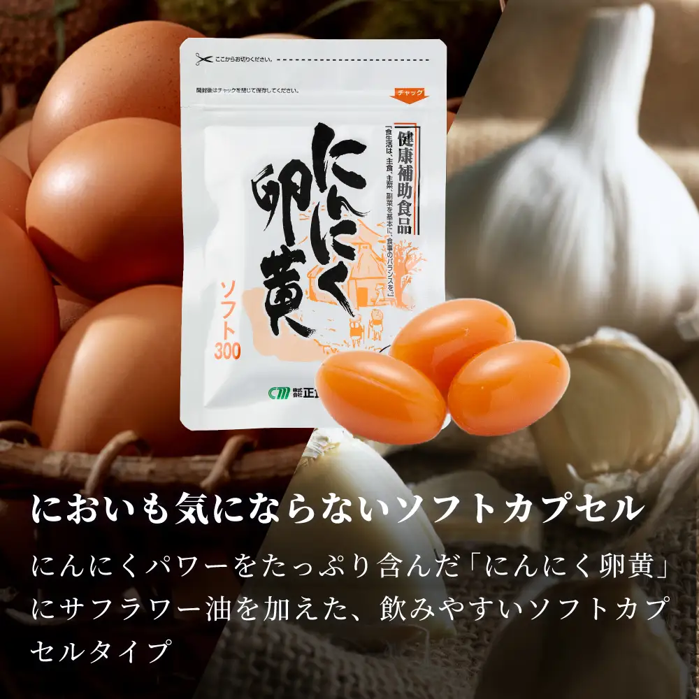 【健康補助食品】にんにく卵黄ソフト300（62粒入り×3袋）  健康 美容 食品 ニンニク 正食研究所 鹿児島 南さつま市 