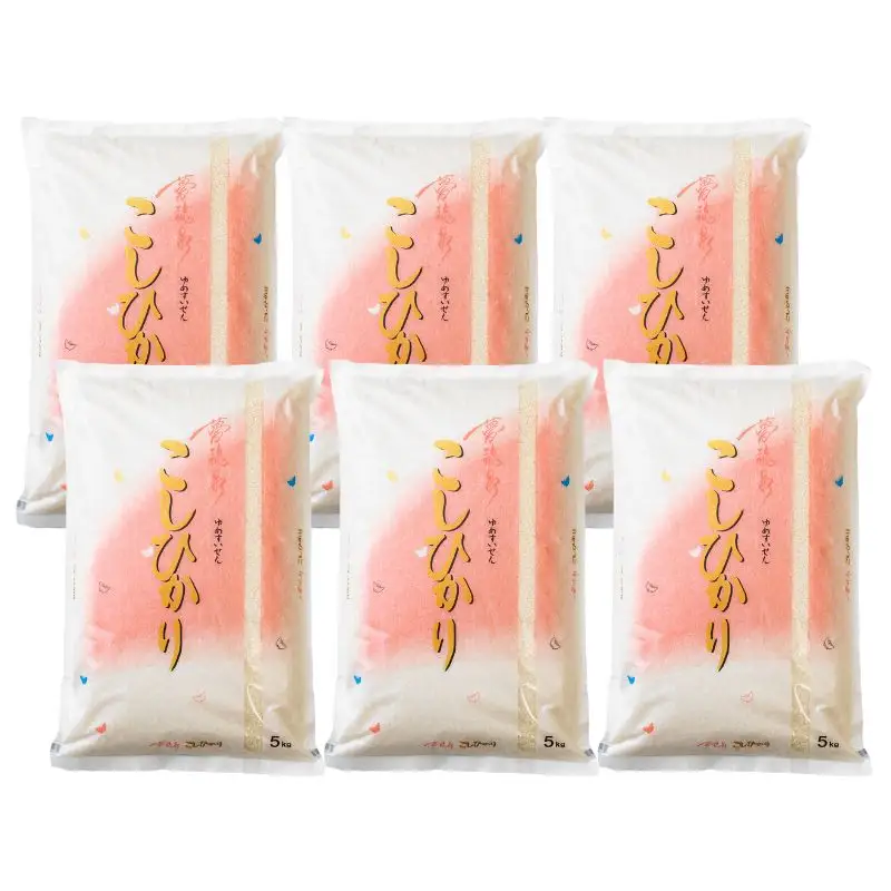 No.1497【令和7年産】大文字屋米穀店【定期便3回】コシヒカリ 10kg（5kg×2）精米 （3か月連続お届け）