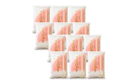 No.1498【令和7年産】大文字屋米穀店【定期便6回】コシヒカリ 10kg（5kg×2）精米 （6か月連続お届け）
