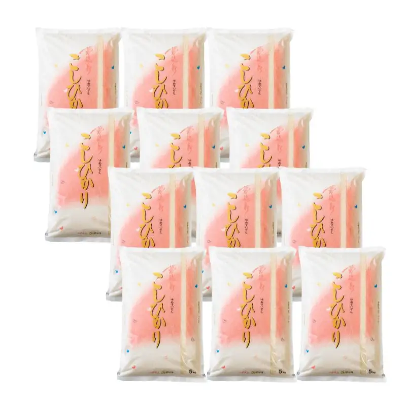 No.1499【令和7年産】大文字屋米穀店【定期便6回】コシヒカリ 10kg（5kg×2）精米 （隔月でお届け）