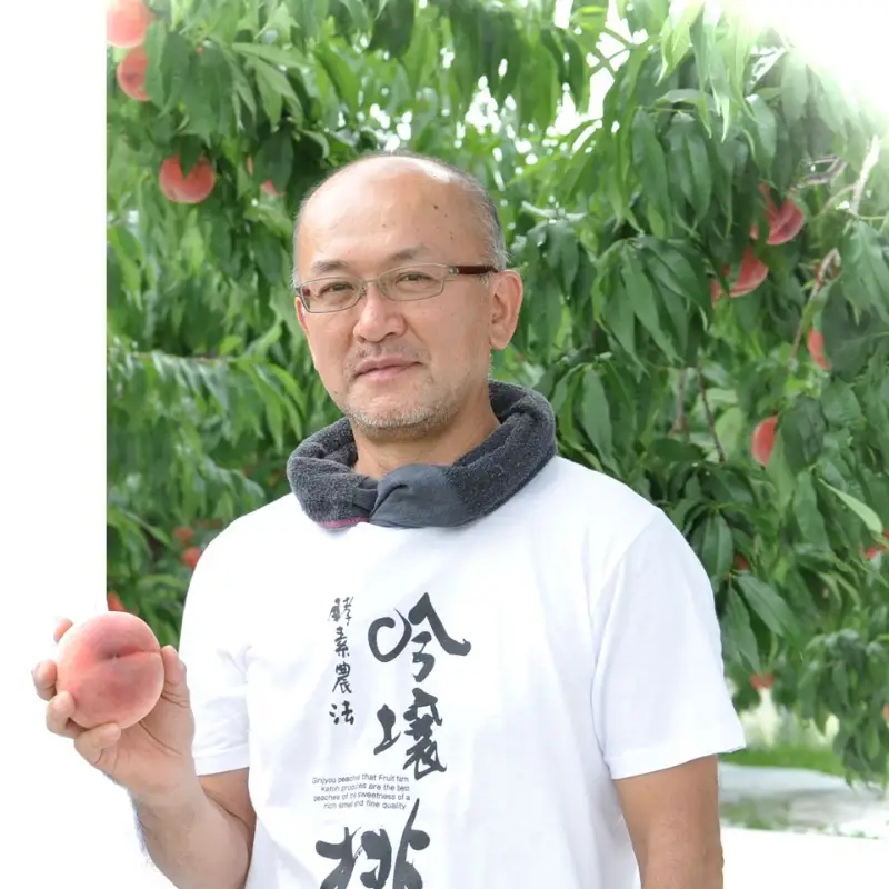 No.1520【限定50箱】吟壌桃「あかつき」 約2kg【2026年発送】