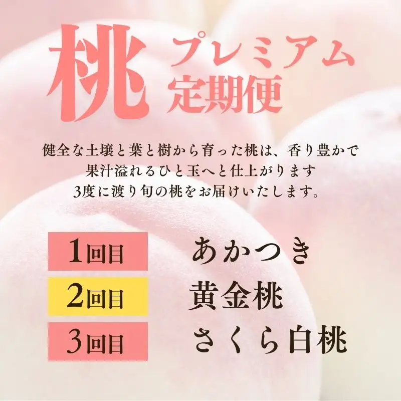 No.1537【全3回】桃プレミアム定期便【2026年発送】