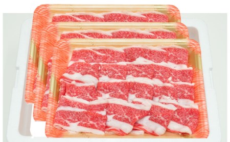 No.1552福島牛切落し 900g      