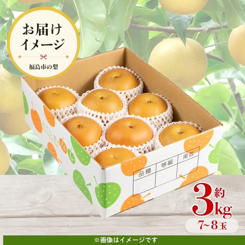 No.1716梨　なし　豊水　約3kg　【2026年発送】