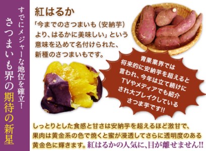 芋紅はるか約5kg有限会社ニシムラ 