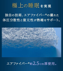 エアウィーヴ ポータブル mini エアウィーヴ