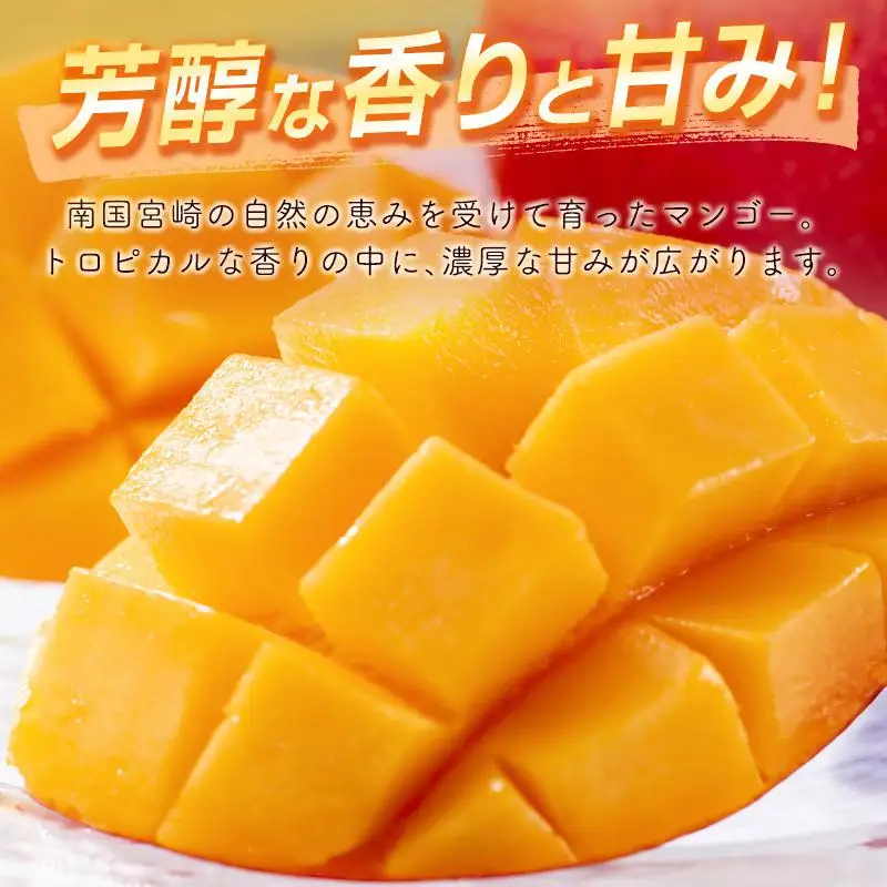 【先行予約】西都市産完熟マンゴー2L×2個　計700g以上 2026年発送＜18-5a＞