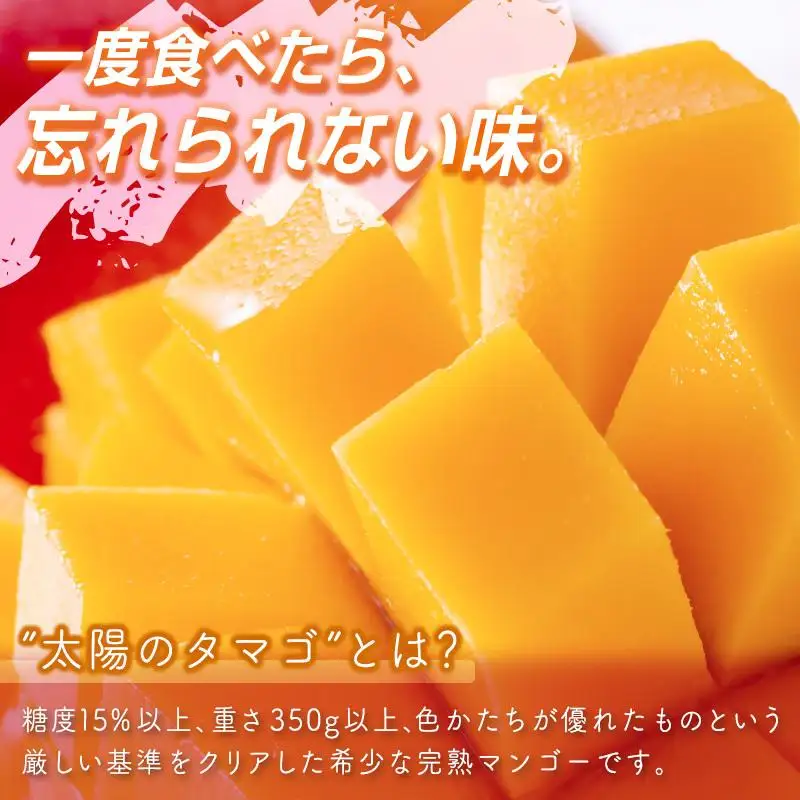【先行予約】最高級ブランド『太陽のタマゴ』2L×2個【糖度15度以上】宮崎県西都市産完熟マンゴー ＜18-6a＞2026年発送