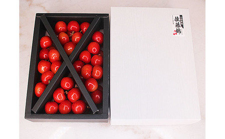 ★母の日★山形産 さくらんぼ 佐藤錦 Lサイズ 350g クロスバラ詰メッセージ付(5/4～5/10着)  【令和8年産先行予約】FS25-543