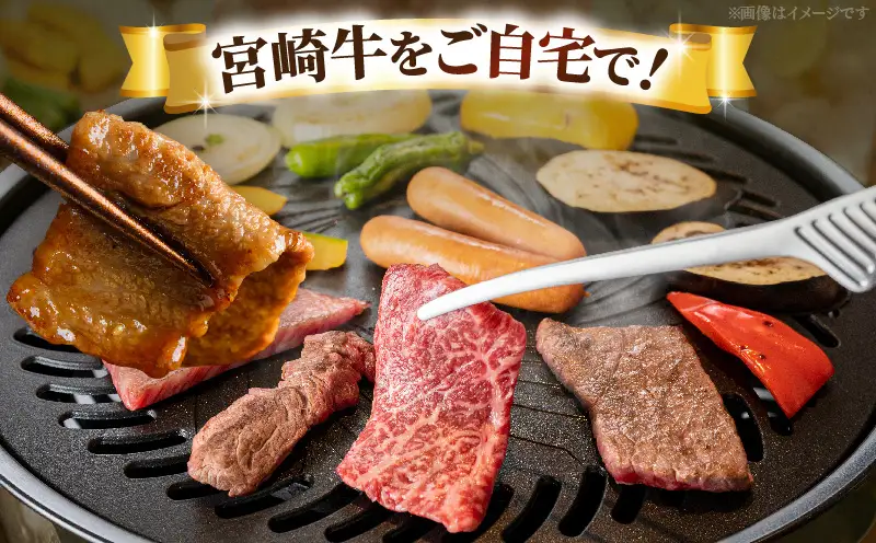 宮崎牛赤身（ウデ・モモ）焼肉 500g