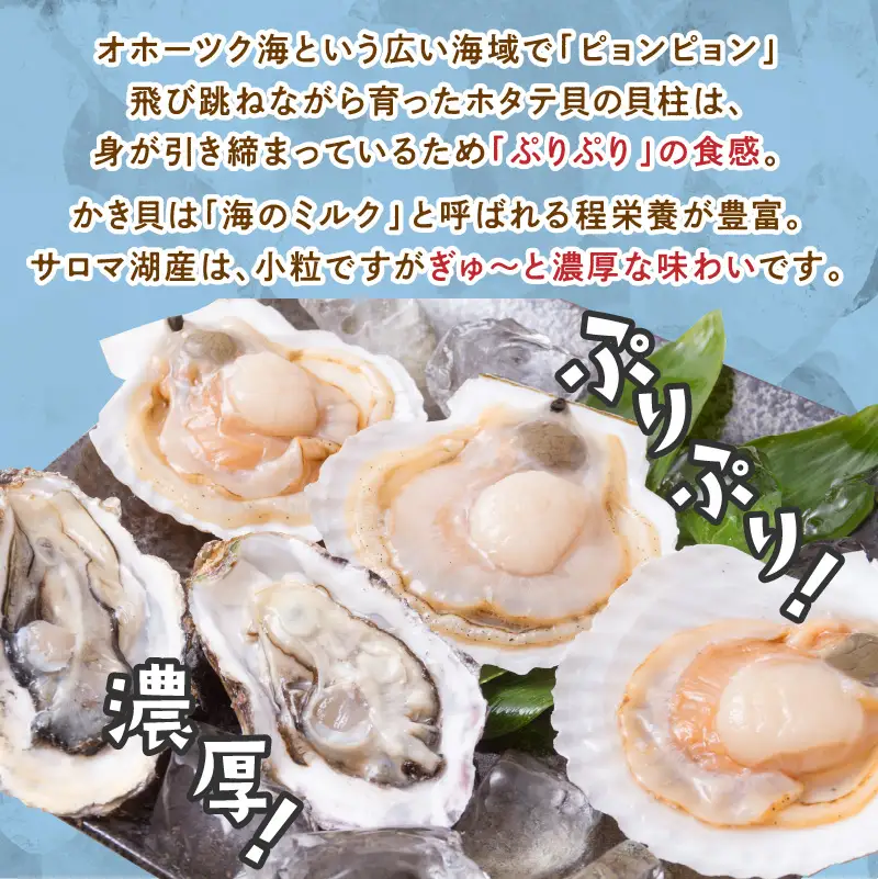 【予約：2026年10月中旬から順次発送】とれたて新鮮！活ホタテ貝2kgと活牡蠣2年物2kg ( 海鮮 魚介 貝 帆立 ほたて ホタテ カキ かき 牡蠣 セット BBQ )【114-0014-2026】