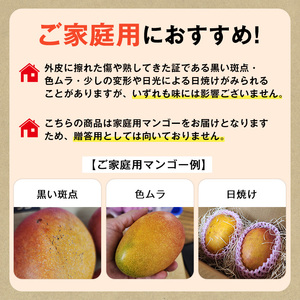 マンゴー ＜先行予約・数量限定＞ 完熟 マンゴー 計2.5kg以上 東串良物産館ルピノンの里 0255911a