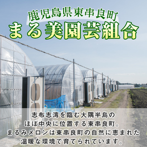 【0222203a】まるまる育ったマスクメロン(2玉・計3.3kg以上) マスクメロン フルーツ 果物 果実 3キロ 数量限定 期間限定【まる美園芸組合】