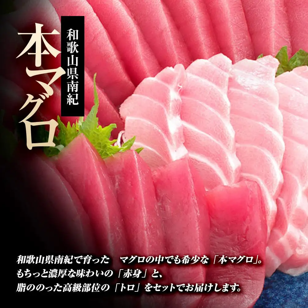 本マグロ（養殖）トロ＆赤身セット　240g［KS11］