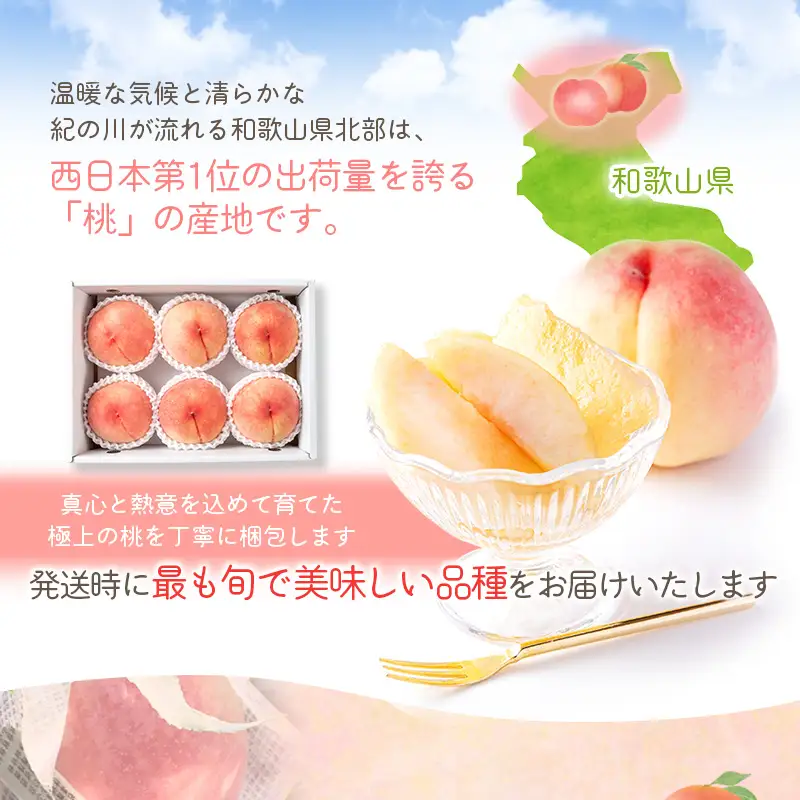 【先行予約】和歌山県産の美味しい桃 （5～8玉入り）【2026年6月中旬頃から8月上旬頃発送予定】 和歌山 もも モモ 桃 ギフト 贈り物 プレゼント 夏ギフト 果物 フルーツ 人気 産地直送 和歌山県 お取り寄せ【mat101B】
