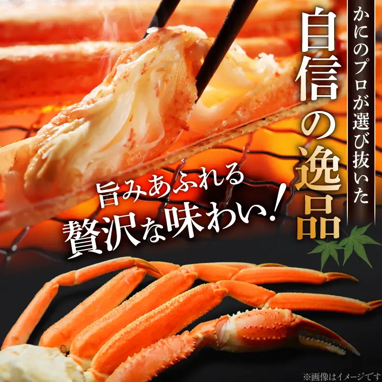訳あり ボイルずわいがに 肩付き脚 総重量1kg [宮城県 気仙沼市 20564325] かに 蟹 カニ