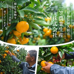 ＜先行予約受付中！2026年12月中旬以降順次発送予定＞ 訳あり！鹿児島県産スイートスプリング(計約10kg・37～43個程) 柑橘 果物 フルーツ 旬 デザート 国産 鹿児島県産 阿久根市産 小玉 数量限定 期間限定 訳アリ ノーワックス【三笠農業生産】akn051-03