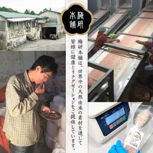 ピンク岩塩食用ピンクパウダー＆ピンクあら塩セット(計4kg) ヒマラヤ岩塩 ピンク岩塩 岩塩 塩 食塩 調味料 ミネラル 粗塩 あら塩 ピンクパウダー【梅研本舗ジャパン】akn047-11