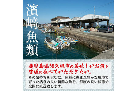 数量限定！鹿児島県阿久根産 薩摩甘エビ(約1kg・40～70尾) 国産 阿久根市産 えび 海老 急速冷凍 冷凍配送 魚貝類 魚介類 海産物 【濱崎魚類】akn023-05