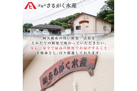 鹿児島県産地たこのゆでたこ(計400g) 国産 九州産 新鮮 地ダコ 魚介 魚貝 海産物 海鮮 蛸 味付 刺身 磯辺焼き たこ焼き 唐揚げ 料理 おかず お弁当【さるがく水産】akn028-01