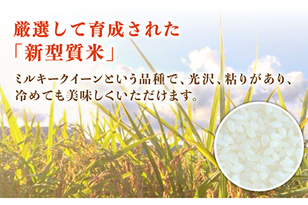 スイートミルク ミルキークイーン 10kg (5kg×2袋) 五島市/山口商店 [PEC003]