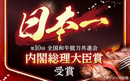 長崎和牛 A5ランク サーロインステーキ 2枚 計400g / ステーキ すてーき 和牛 牛肉 ぎゅうにく 国産牛 牛 肉 サーロイン A5 焼肉 / 諫早市 / 焼肉おがわ [AHCD001]