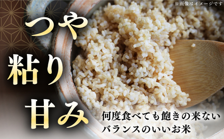 【令和7年産】 玄米 ななつぼし さくら米 10kg [AXAB035]