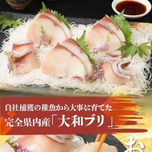 大和ブリの切り身　12ヶ月定期便 N072-YG0256