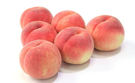  【白桃】川中島白桃 3kg(6～12玉)[柔らかくなる桃] 【令和8年産先行予約】FU22-783 くだもの 果物 フルーツ 山形 山形県 山形市 2026年産