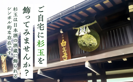 日本酒ライフに彩りを！杉玉直径40cm。自宅やお店のインテリアに。【67-2】杉玉 すぎだま 杉だま スギ