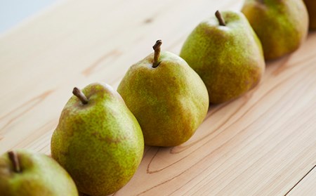 《先行予約 2026年度発送》山形の特産ラ・フランス5kg☆小玉をお届け！ なし ナシ 梨 デザート フルーツ 果物 くだもの 果実 食品 山形県 FSY-0115