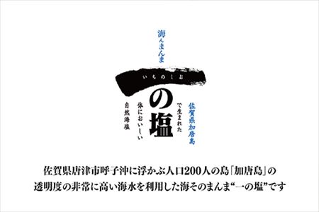 唐津 一の塩 1kg×2袋 (さらさら・しっとり) 調味料 料理 しお ソルト