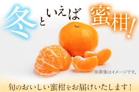 【先行予約】旬のみかん 10kg《9月中旬-2月末頃出荷》みかん