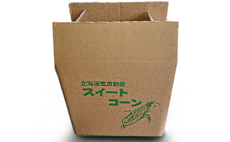 南ふらの産 朝採り とうもろこし (イエロー)【サイズ混合】10本 北海道 南富良野町 トウモロコシ とうきび トウキビ 2026年発送 先行予約 野菜 12本 コーン 