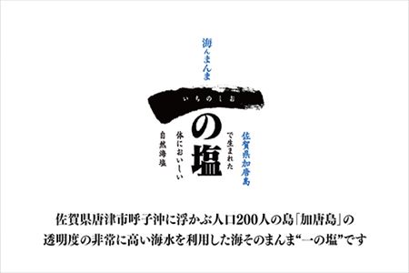唐津 一の塩 10kg×2袋 (しっとりタイプ) 調味料 料理 しお ソルト