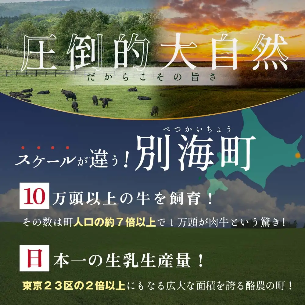 【定期便】黒毛和牛 焼肉用 計2.4㎏ 600g×6ヵ月【全6回】北海道 別海町 黒毛和牛