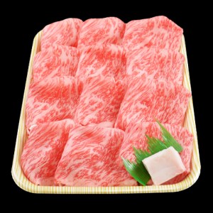 小田切牧場信州プレミアム牛特選しゃぶしゃぶ・すき焼き肉　ロース（500g） ギフト 牛肉 黒毛和牛
