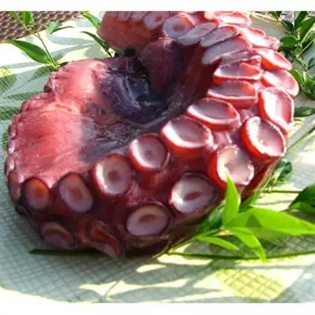 京都府産　タコ足　1本(冷凍:鮮度抜群真空パック)【共通返礼品】_魚介・海産物 タコ  たこ 蛸_【配送不可地域：離島】【1045456】