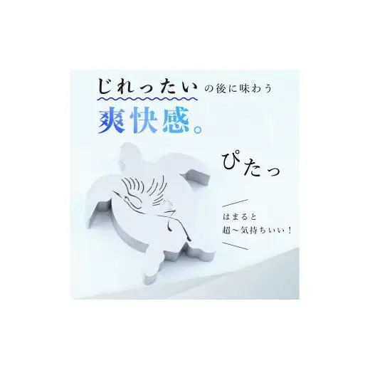 つるかめZIREL　15Pパズル
