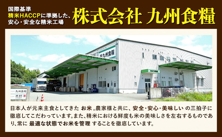 【令和7年産】米 ひのひかり 無洗米 10kg 2kg×5袋 くまモン袋入り 株式会社 九州食糧《30日以内に出荷予定(土日祝除く)》熊本県 御船町 精米 こめ コメ 小分け 便利 くまモン 熊本県産