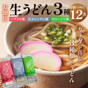 お徳用(簡易包装) 生うどん3種12食詰め合わせセット [うどん 詰め合わせ]