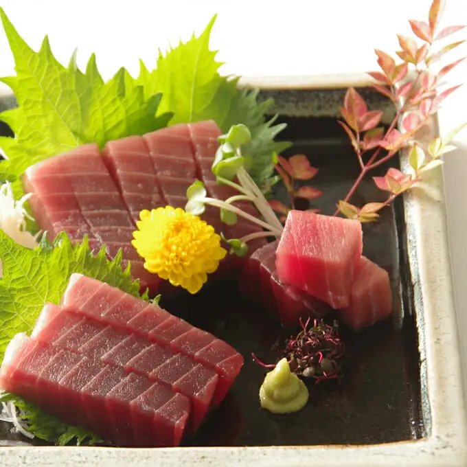 【赤身】天然南マグロ　赤身　２柵【解凍書付】まぐろ 鮪 海鮮 冷凍 さしみ 刺身 父の日 高知 室戸 マグロ