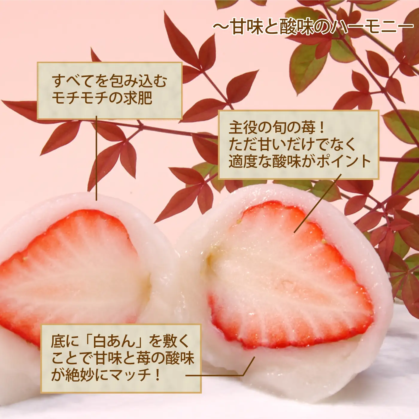 【先行予約】和菓子職人がつくるいちご大福 6個入2箱