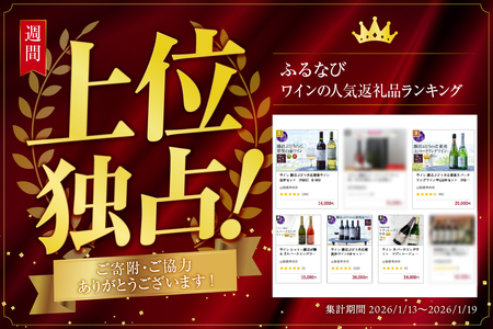 ワイン スパークリングワイン　マディルージュと甲州２本セット（MG）B2-666