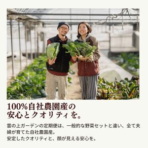 農薬化学肥料不使用 雲の上ガーデンのぴかぴか野菜セット（５回お届け）季節にあわせて10品目前後を毎月お届け【L002】季節 旬 詰め合わせ 採れたて 新鮮 産地直送 高知県産 冷蔵便 定期便