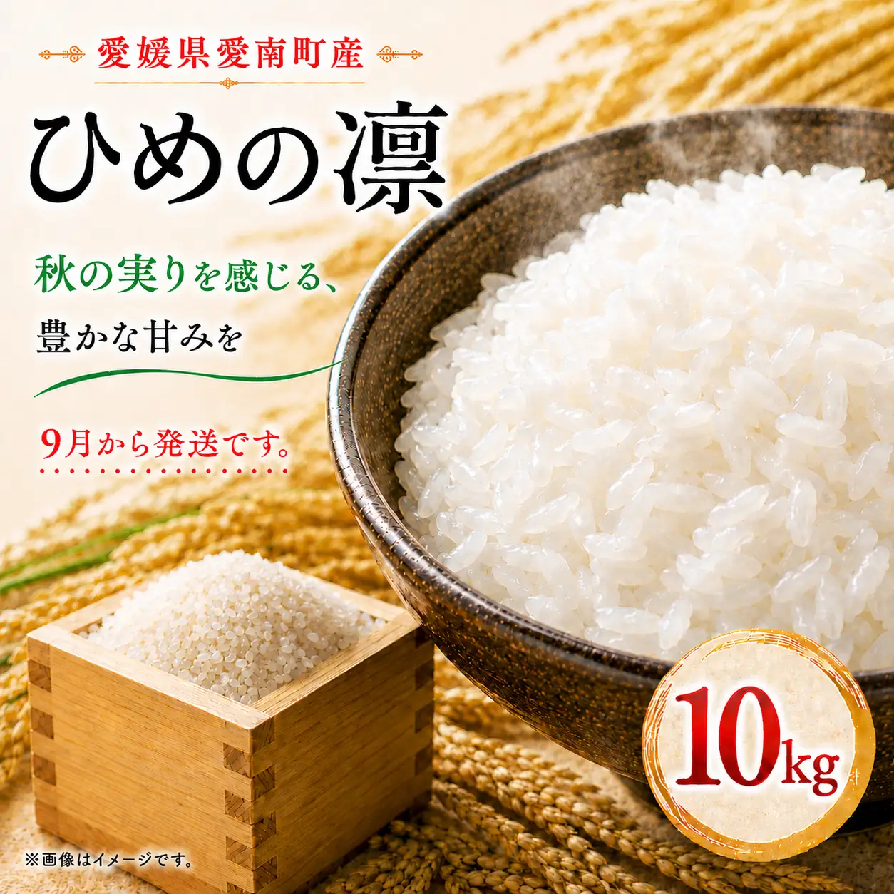 【先行予約】 おこめ 白米 国産 ひめの凛 10kg 2026年9月から発送マルハラファーム ブランド コシヒカリ ヒノヒカリ を先祖に持つ プレミアム クオリティ 最高ランク 愛媛 オリジナル 品種 認定 発送期間:2023年11月8日?(なくなり次第終了)
