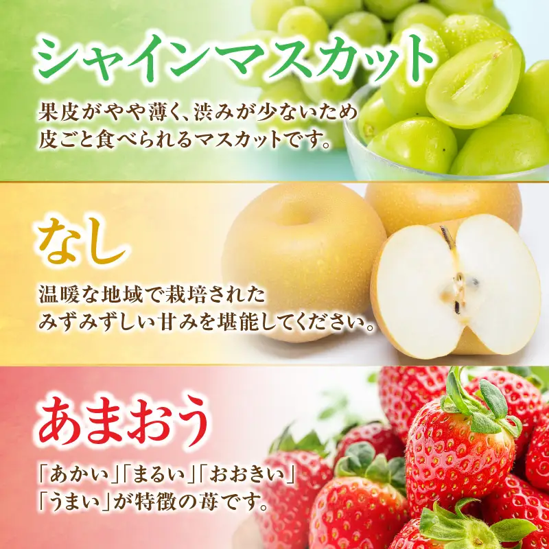 九州・福岡フルーツ王国八女 旬のフルーツ定期便【全3回】＜配送不可：北海道・沖縄・離島＞ フルーツ 定期便 あまおう シャインマスカット 梨 季節のフルーツ 果物 おすすめ セット 産地直送 福岡県 八女市 072-T008
