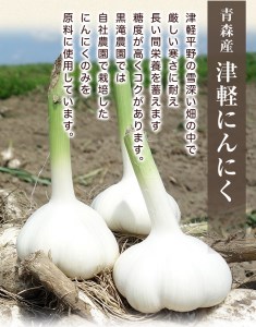 つがる市産にんにくで作った万能調味料 3点セット [0330]